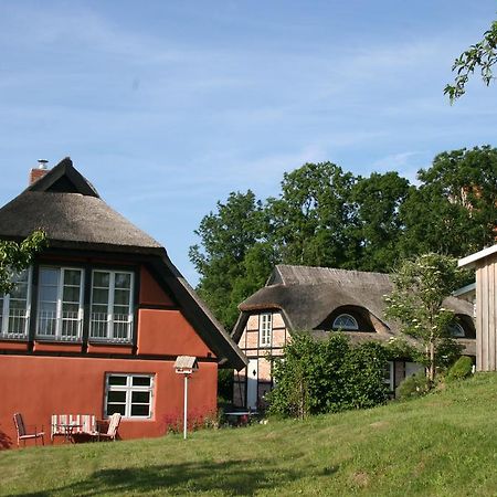 Dorphus Vila Neuenkirchen auf Rugen Exterior foto